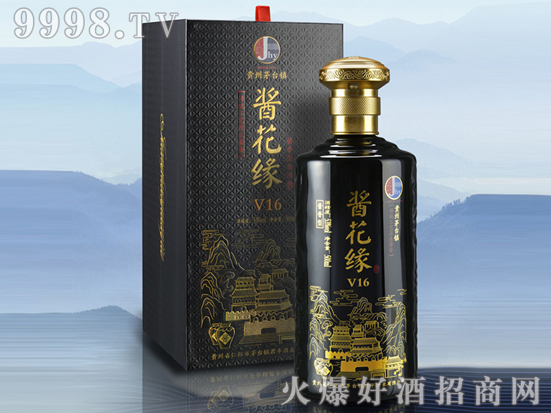 �u����V16 53��500ml�u���Ͱ׾�