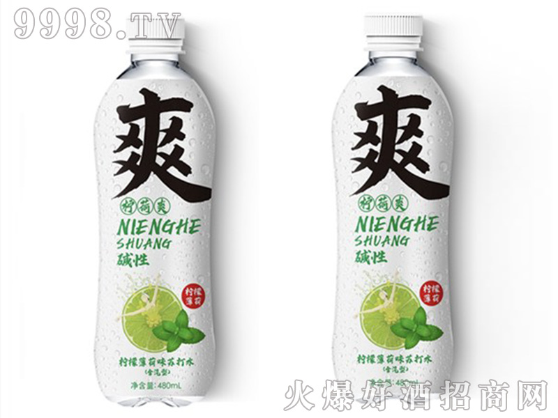 ����ˬ�K��ˮ480ml-������Ϣ