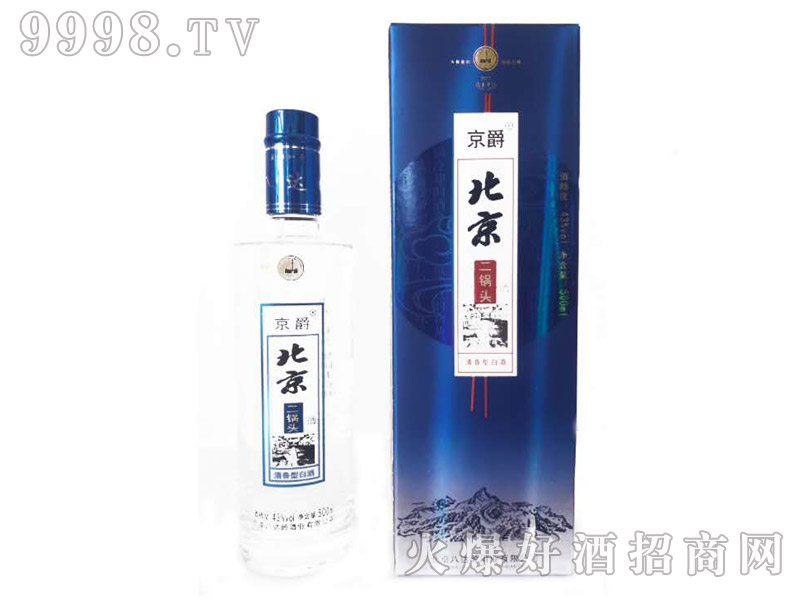 ������������^�Ɲ����Ͱ׾ơ�45��500ml��