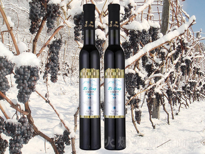 ��ͩ�������t���Ѿ�