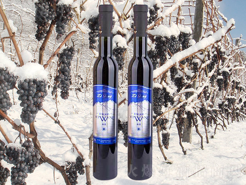 ��ͩ�������t���Ѿ�-�t��������Ϣ