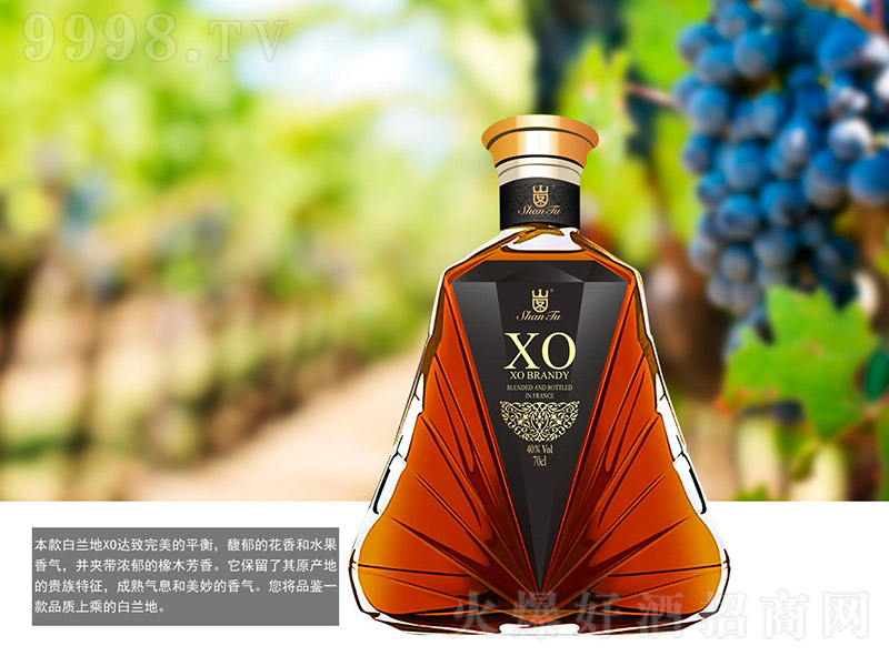 ɽ�D���m��XO��40�� 700ml��
