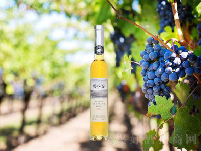 ������15�������������Ѿơ�10�� 375ml��-�t��������Ϣ