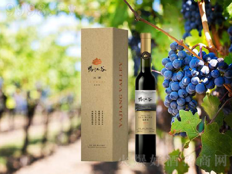 �����ȱ����t���Ѿ�2014��10�� 375ml��