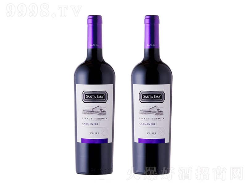 ���x�L(f��ng)�������ȸɼt���Ѿơ�13.5�� 750ml��-�t�����Ϣ