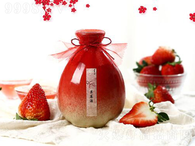 ������ݮ��