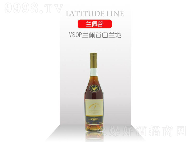 VSOP�m��Ȱ��m��