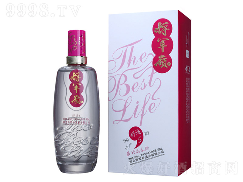 ��܊�X���m5 �����Ͱ׾ơ�41�� 480ml��