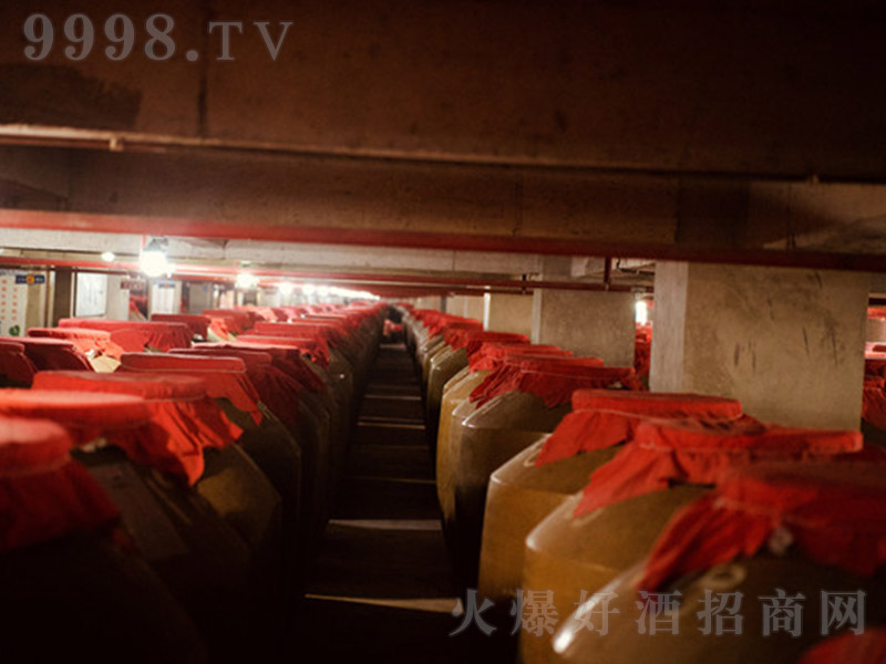 �≯�Ͼ� �u���Ͱ׾ơ�53�� 500ml��