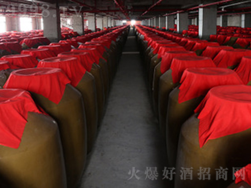 �≯�ϾƉ� �u���Ͱ׾ơ�53�㡿