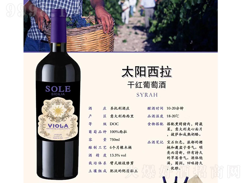 �����̫������ɼt���Ѿơ�13.5�� 750ml��-�t�����Ϣ