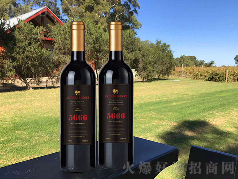 5666�����Ӹɼt���Ѿƺژ�(bi��o)��13�� 750ml��-�t���(l��i)��Ϣ