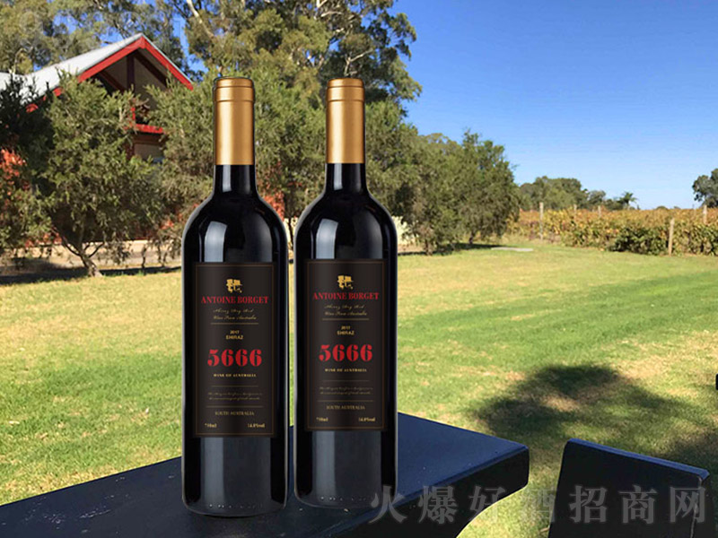 5666÷��ɼt���Ѿưט�(bi��o)��13�� 750ml��