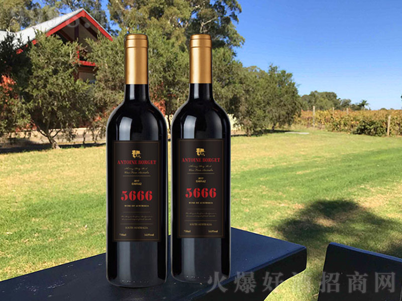 5666��ϼ��ɼt���Ѻژ�(bi��o)��13�� 750ml��-�t�����Ϣ