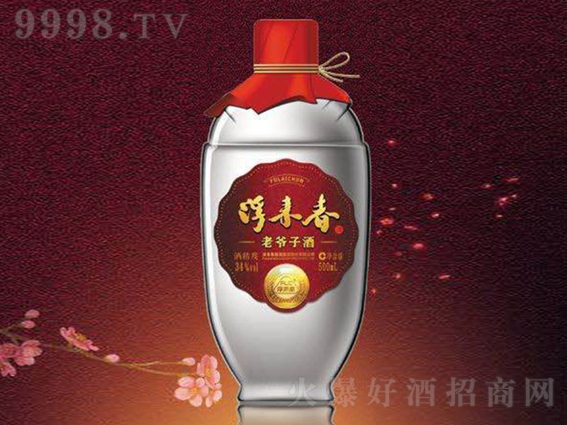 ����(l��i)���Ϡ��Ӿ� �����Ͱ׾ơ�34�� 500ml��