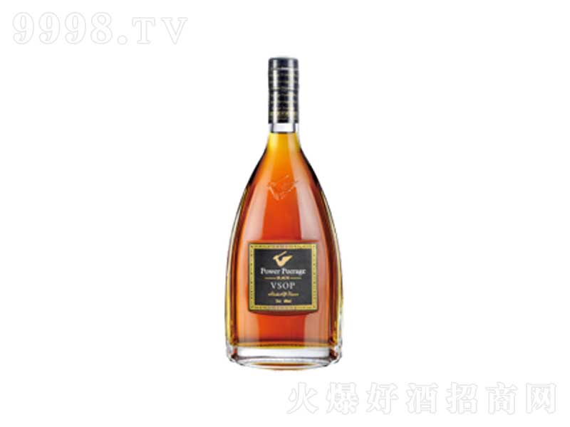 ����・�ژ�(bi��o)VSOP���m�ء�40��700ml��
