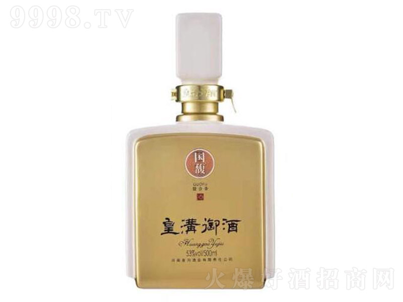 �ʜ����Ƈ�� �����Ͱ׾ơ�53�� 500ml��