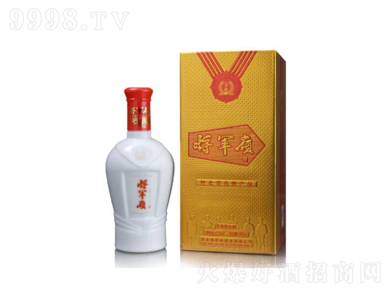 ��܊�X�ٌ������;ơ�41��490ml��