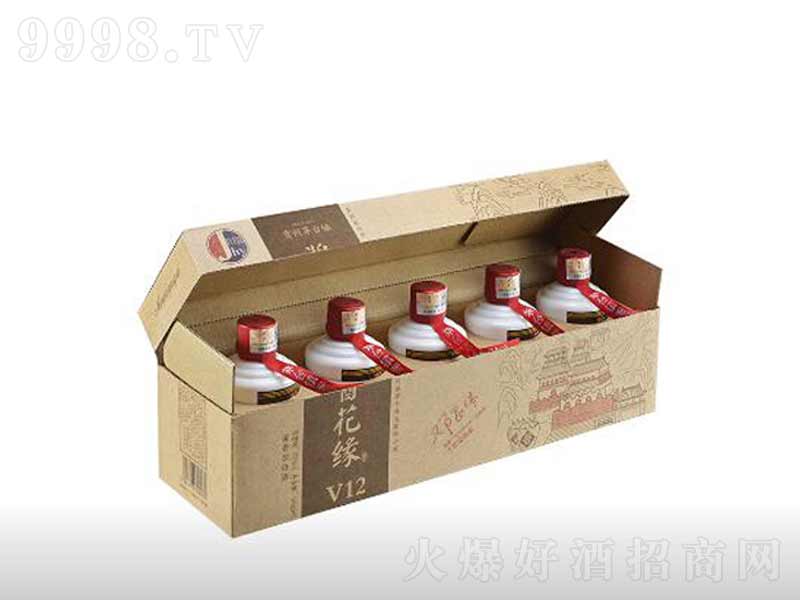 �u����V12�u���;ơ�53��200ml��