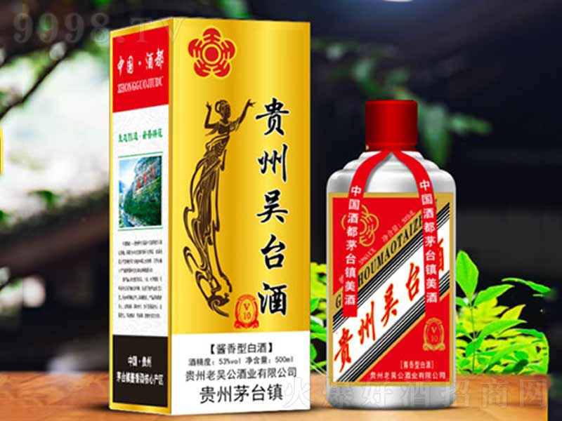 �F���υ��_��v10�u���;ơ�53��500ml��