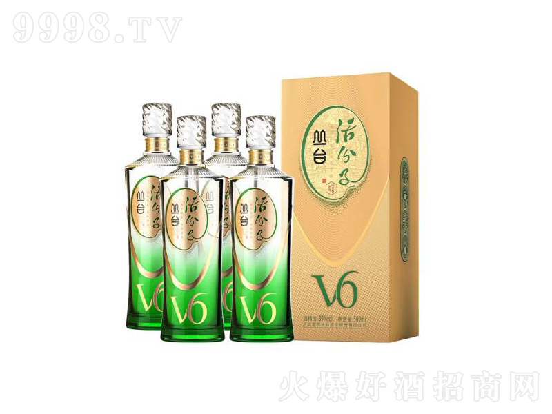 ���_�ƻ����V6�����͡�39��500ml��