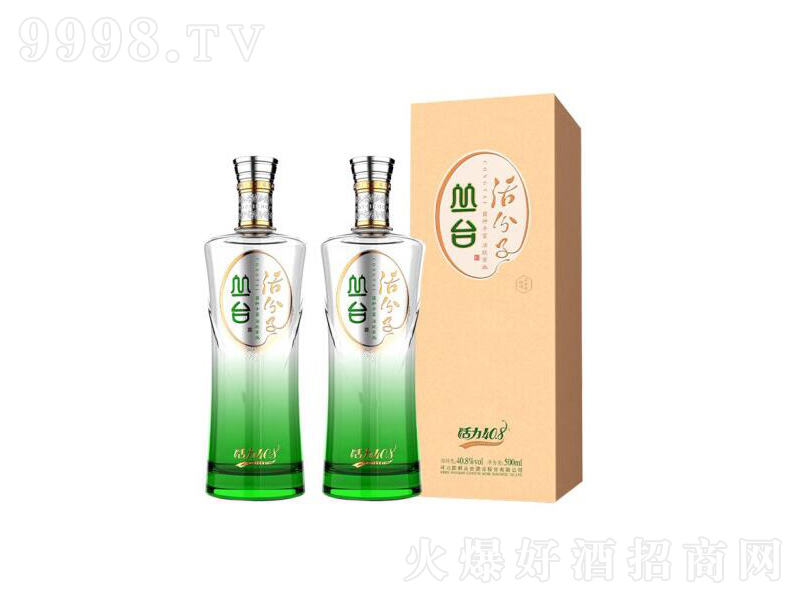 ���_�����p�ɻ���ӝ����;d���͡�40.8��500ml��