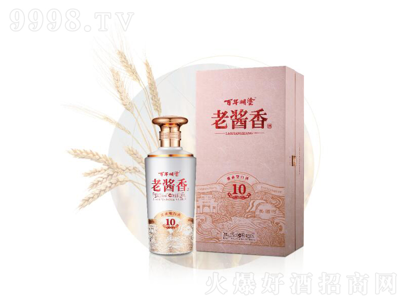 �����Ϳ���u��10�u���;ơ�53��500ml��