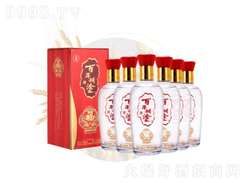 �����Ϳ��-���Ɲ����;ơ�33��500ml��