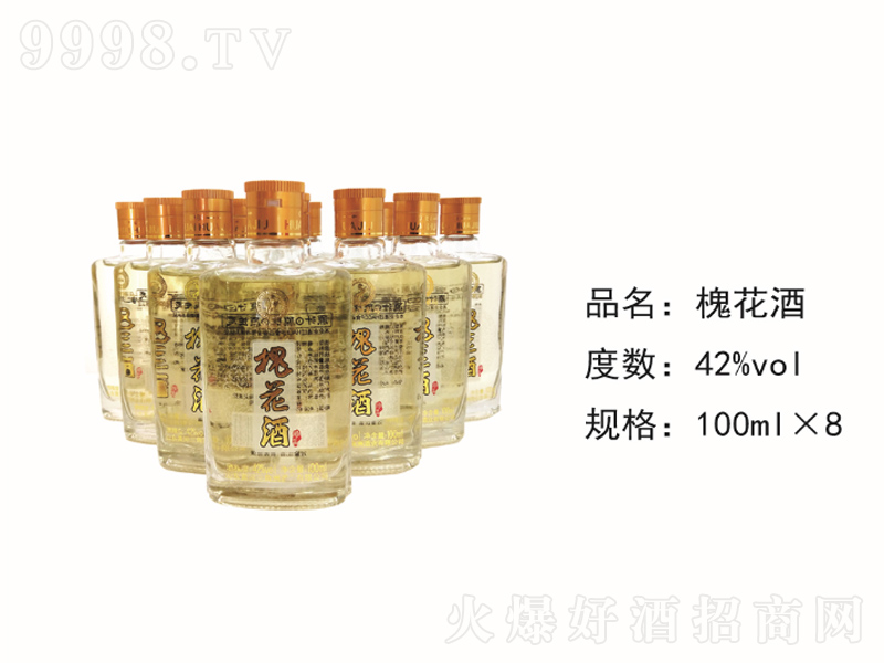 �������S���B(y��ng)���ơ�42��100ml��