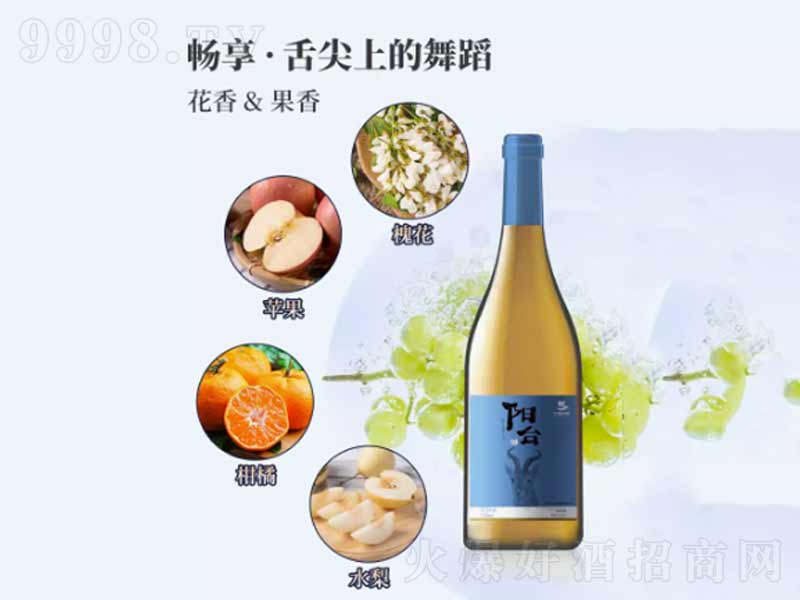 ��_�ɰ����Ѿƾە��Ƽs�������Ѿ�750ml