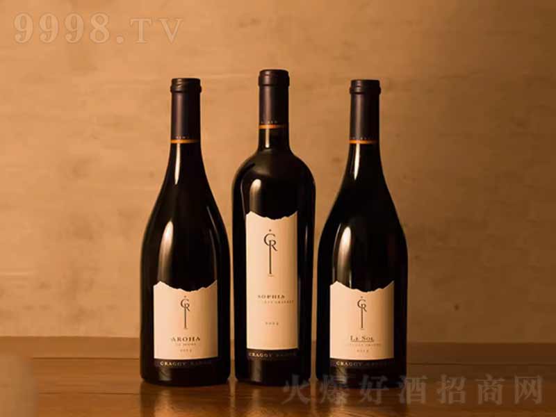 �����m������LeSol���������ɼt���Ѿ�750ml