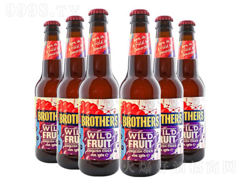 �ֵܡ�Ұ��ζ���ƾơ�4�� 330ml��