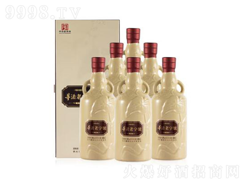 ��������̖H6�����͡�54��500mL��