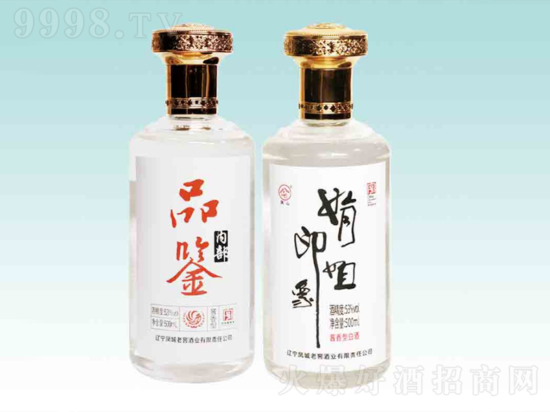 �P���Ͻ�Ʒ�b��(���ӡ��)�u���͡�53��500ml��