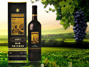 ���Ϸ��񠖾ƘI(y��)���޹�˾