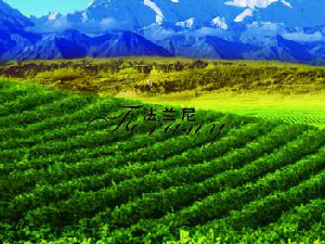 �����������Q(m��o)���޹�˾