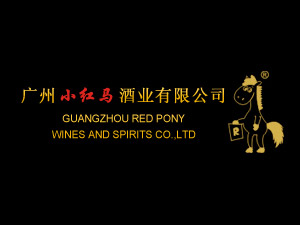 �V��С�t�R�ƘI(y��)���޹�˾