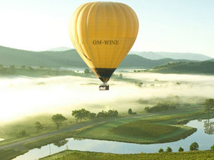 �����КW�˾ƘI(y��)���޹�˾