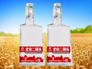 �����Ƈ����x�ƘI(y��)���޹�˾��ţ��