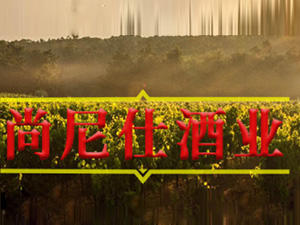 ɽ�|�����˾ƘI(y��)���޹�˾