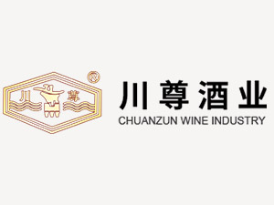 �Ĵ����ش���ƘI(y��)���޹�˾