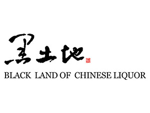 �������Q�ǾƘI(y��)���޹�˾