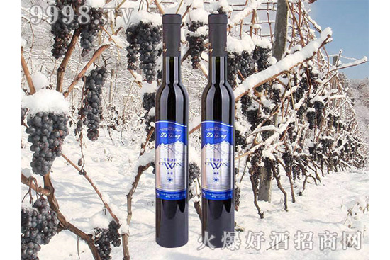 �P(gu��n)�ڱ��ƣ����˽������