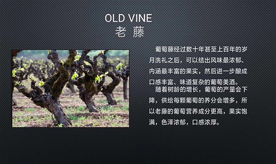 ����Ǳ��ɼt���Ѿ�