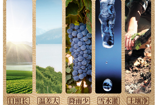 �������ǖ|�����м�����ڴ��؆��̼�ٍ�XЧ��(y��ng)����ȫ����