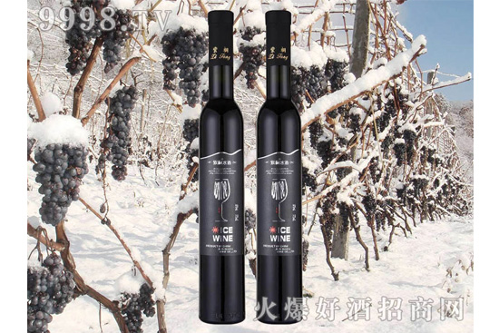 ����|�������xʲô�ӵļt�Ƽ����������ϙn����