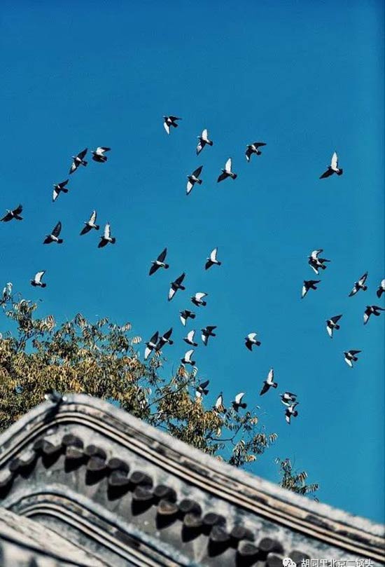 ��ͬ��ƘI(y��)