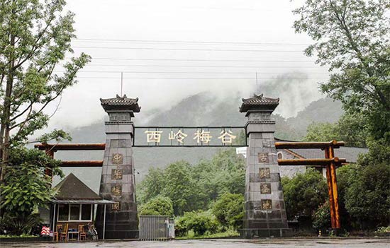 ������÷����