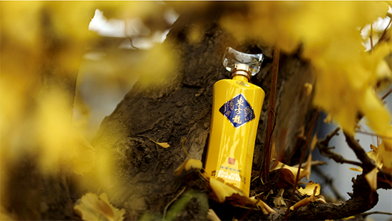 ��������׾����|����չ�F(xi��n)����L(f��ng)�����A��֮����