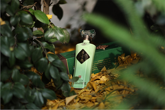 ��������׾����|����չ�F(xi��n)����L(f��ng)�����A��֮����